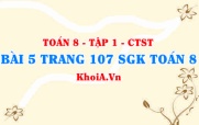 Bài 5 trang 107 SGK Toán 8 Tập 1 Chân trời sáng tạo